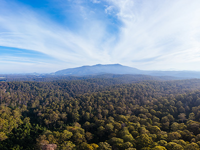 Aerial view near Central Tilba of Mount Dromedary in Gulaga National